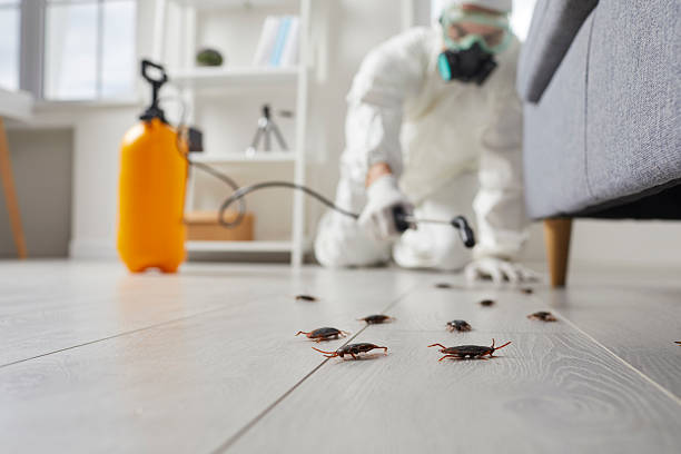 Commercial Rodent Management in Pinetop-Lakeside